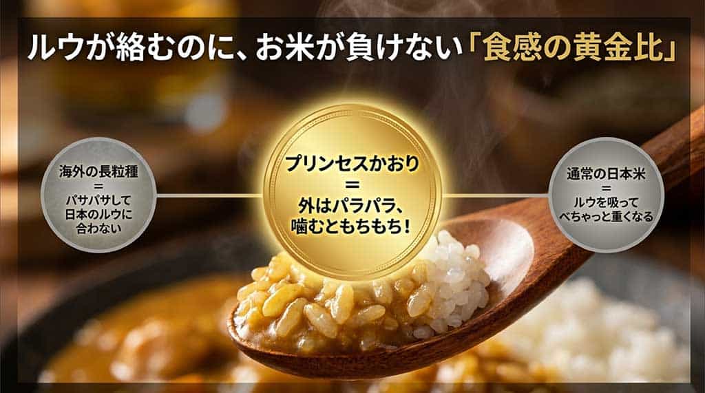 海外の長粒種（パサパサして日本のルウに合わない）、通常の日本米（ルウを吸ってべちゃっと重くなる）、プリンセスかおり（外はパラパラ、噛むともちもち）の食感の違いを比較した図。