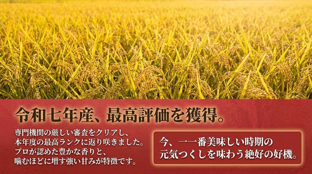 令和7年産元気つくし特Aランク獲得：プロが認めた豊かな香りと甘み