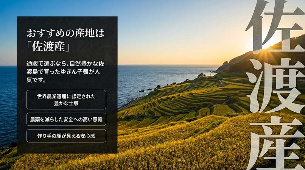 世界農業遺産に認定された佐渡島の豊かな土壌と安全への意識、佐渡産ゆきん子舞の紹介