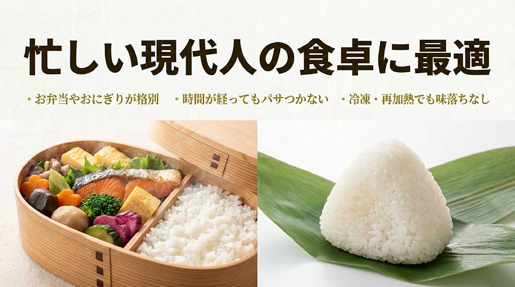 曲げわっぱのお弁当に入ったツヤツヤのさがびより。冷めてもパサつかない現代の食卓に合う特徴