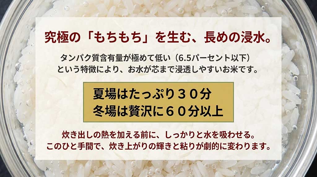 夏場は30分、冬場は60分以上の浸水で美味しさを引き出す炊き方のコツ
