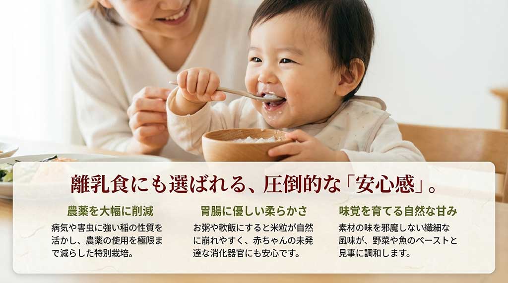 減農薬栽培、胃腸に優しい柔らかさ、自然な甘みが離乳食に最適な理由の解説