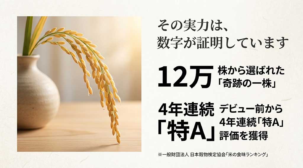 12万株から選ばれた「奇跡の一株」であることと、4年連続で食味ランキング「特A」評価を獲得している実績を示す図解