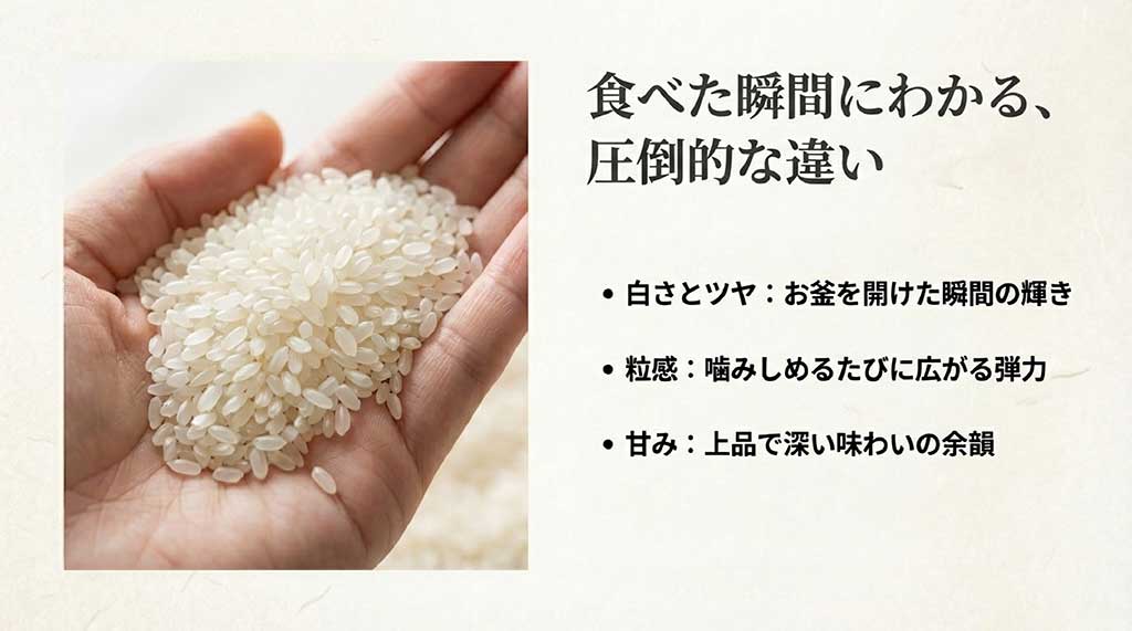 サキホコレの味の特徴である「白さとツヤ」「粒感」「甘み」について解説した画像
