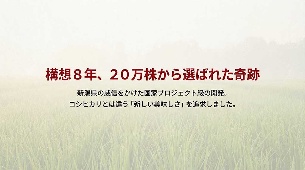 新潟県が8年の歳月をかけ20万株から選抜した新之助の開発背景