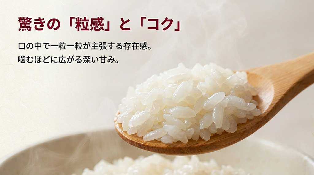 口の中で主張する新之助の粒立ちと噛むほどに広がる甘みの解説