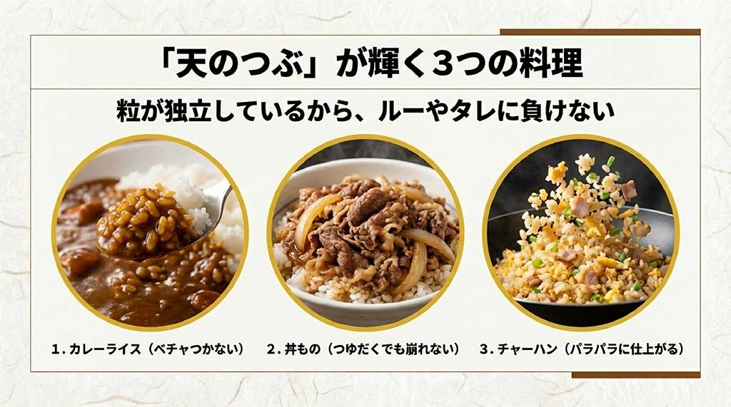 カレーライス、牛丼、チャーハンなど、粒が独立している天のつぶに合う料理の紹介