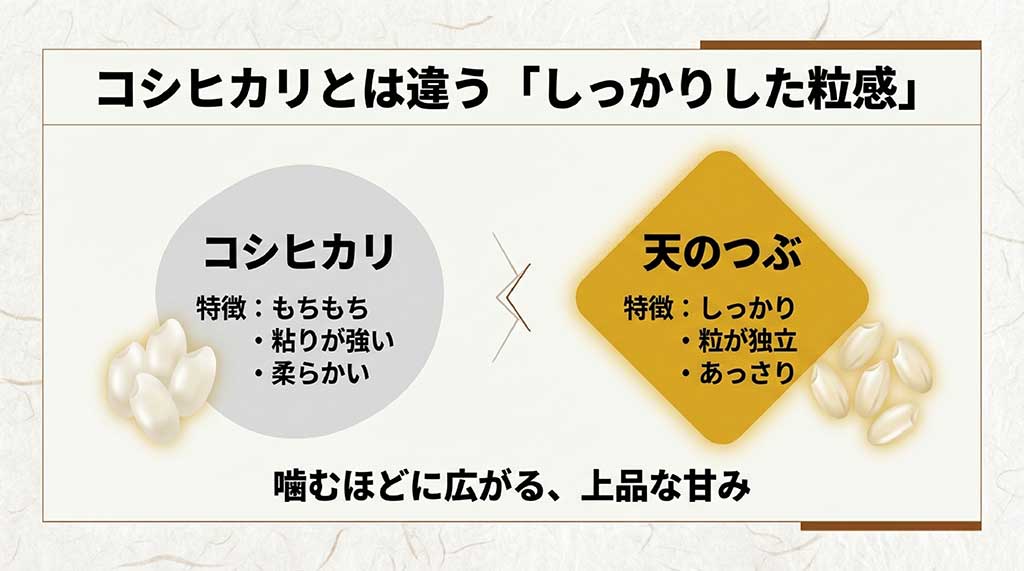 コシヒカリの「もちもち」に対し、天のつぶの「しっかり・粒が独立・あっさり」という特徴を比較した図解