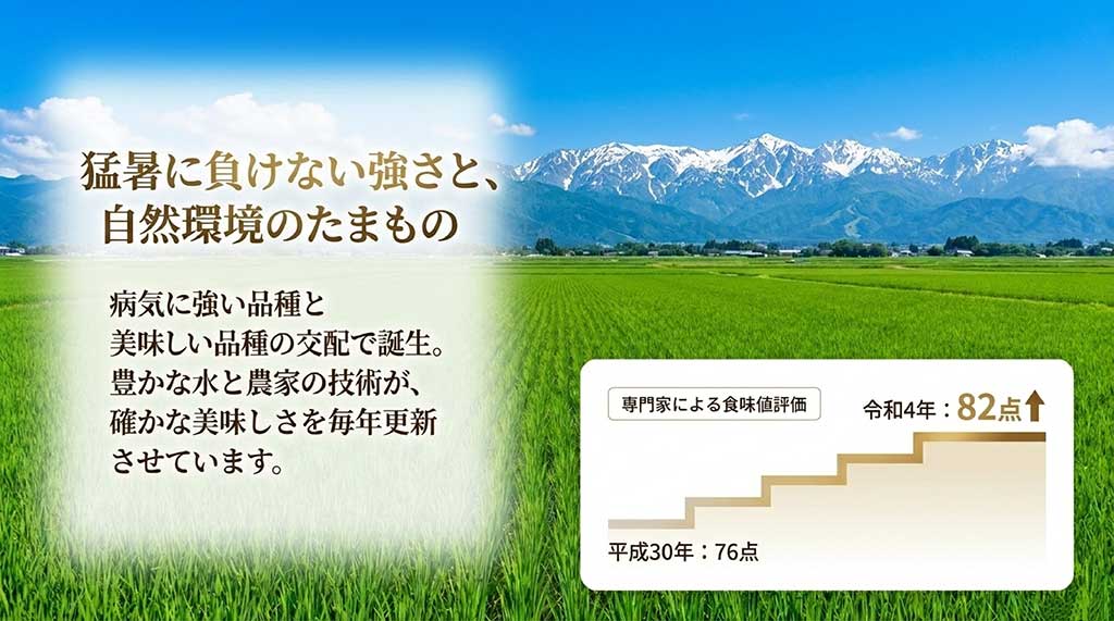 猛暑や病気に強い品種の交配で誕生した背景と、専門家による食味値評価が平成30年の76点から令和4年には82点へ向上している実績を示すスライド