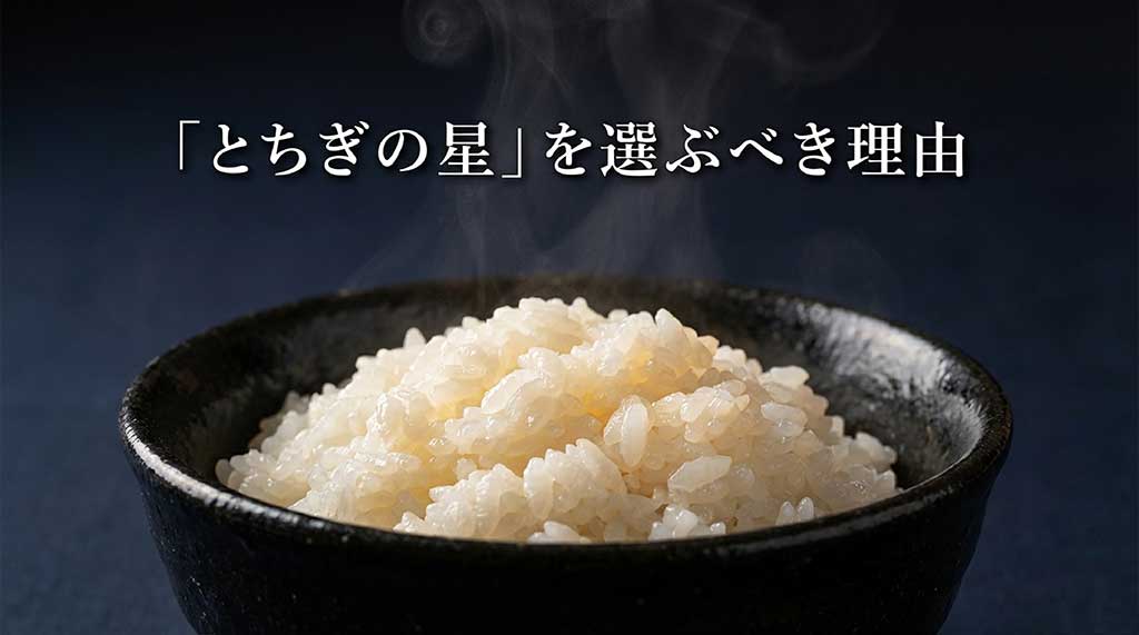栃木県のブランド米「とちぎの星」の紹介スライド。選ぶべき理由を解説する導入画面です