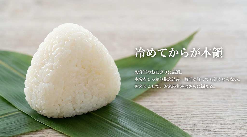お弁当やおにぎりに最適で、時間が経っても硬くならず甘みが深まる特徴の解説