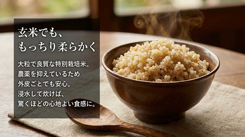 農薬を抑えた特別栽培米だから安心な、もっちり柔らかく食べやすいつがるロマンの玄米