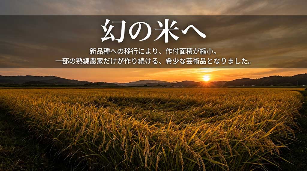 新品種への移行により作付面積が縮小し希少な芸術品となったつがるロマンの解説