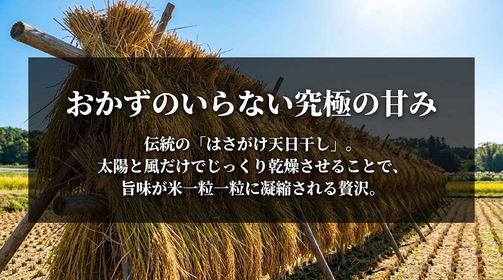 太陽と風だけでじっくり乾燥させる伝統のはさがけ天日干しによる究極の甘みの解説