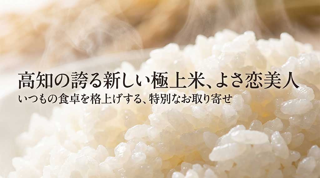 高知県産の極上米よさ恋美人の紹介スライド。通販・お取り寄せで食卓を格上げする内容
