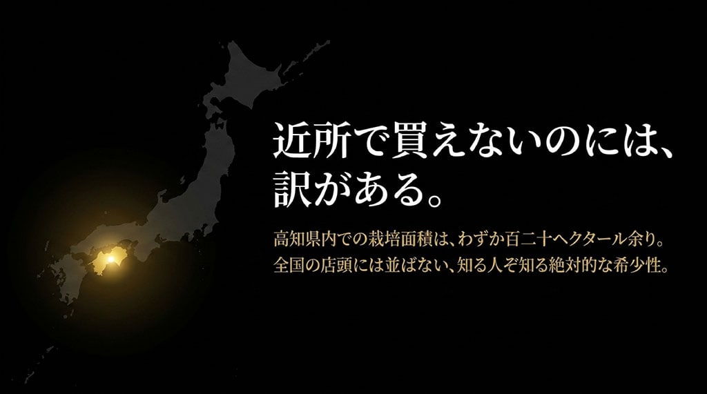 高知県内での栽培面積がわずか120ヘクタール余りで全国の店頭には並ばないよさ恋美人の絶対的な希少性