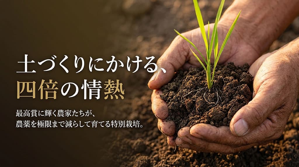 最高賞に輝く農家たちが4倍の情熱をかけ、農薬を極限まで減らして育てる特別栽培米です。