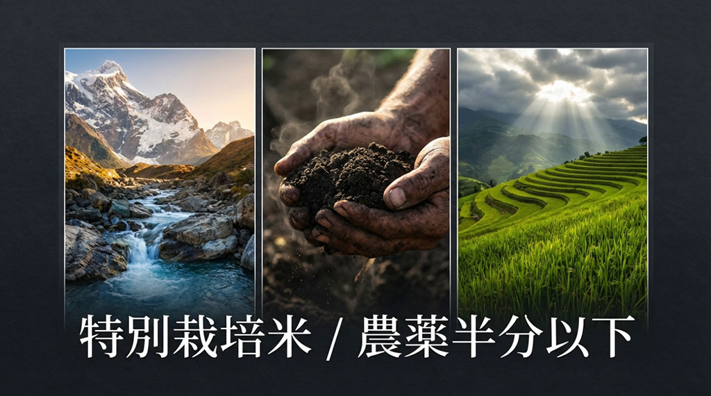 雪椿の栽培環境と農薬を半分以下に抑えた特別栽培米のこだわり