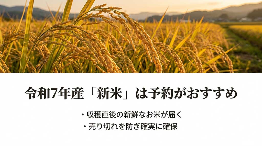 雪若丸の新米予約をおすすめする理由。新鮮なお米が届き、売り切れを防いで確実に確保できるメリットを紹介