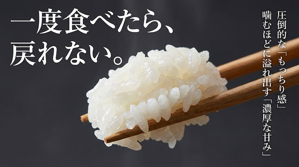 夢ごこちの美味しさの科学を説明するスライド。低アミロースと低タンパクにより、限界までお水を吸い込みふっくら柔らかな食感を生み出す仕組み。