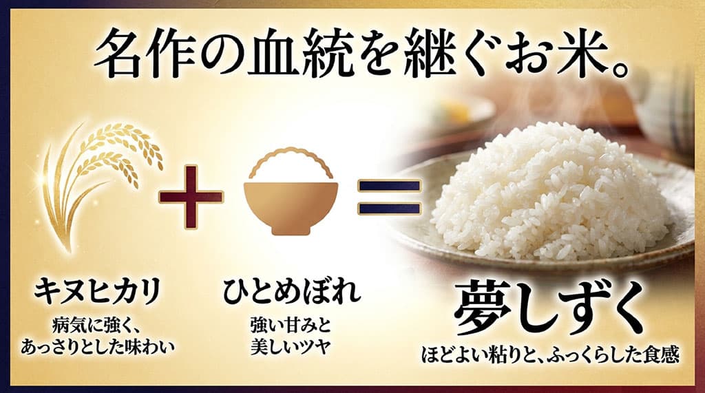 名作の血統を継ぐお米。キヌヒカリとひとめぼれを交配した佐賀県産夢しずく。
